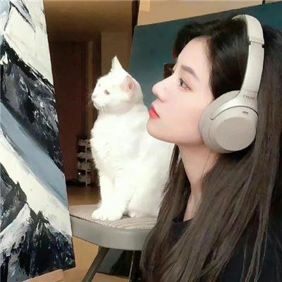 毛丰美